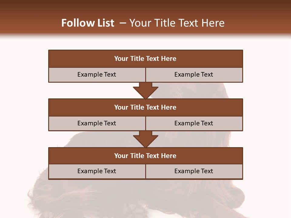 Setter Dog Isolated PowerPoint Template