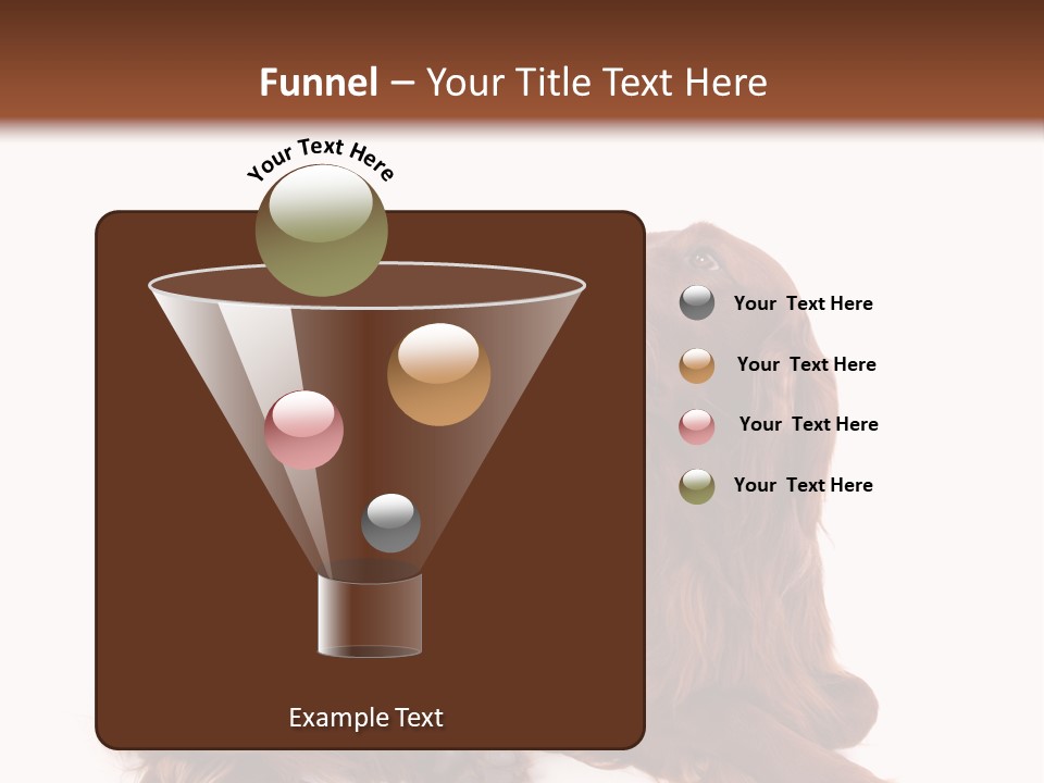 Setter Dog Isolated PowerPoint Template