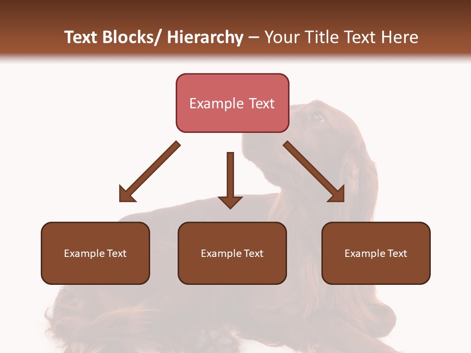 Setter Dog Isolated PowerPoint Template