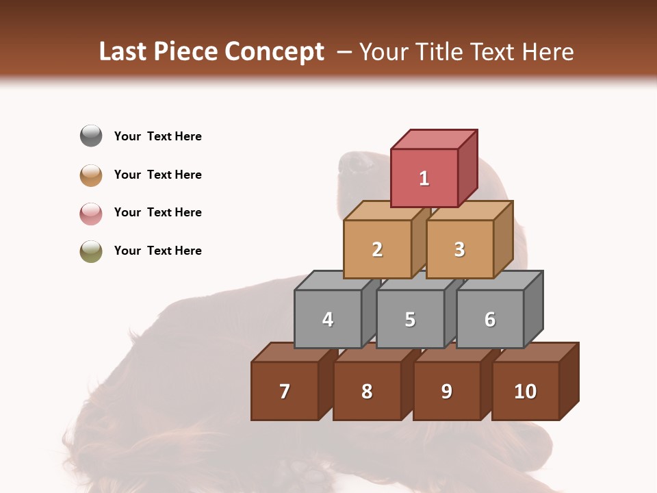 Setter Dog Isolated PowerPoint Template