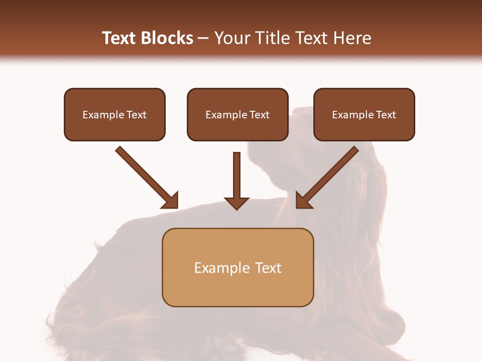 Setter Dog Isolated PowerPoint Template