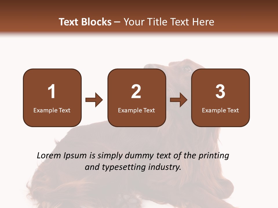 Setter Dog Isolated PowerPoint Template