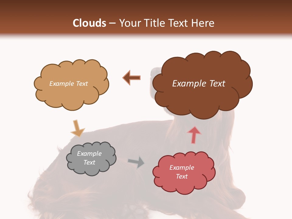 Setter Dog Isolated PowerPoint Template