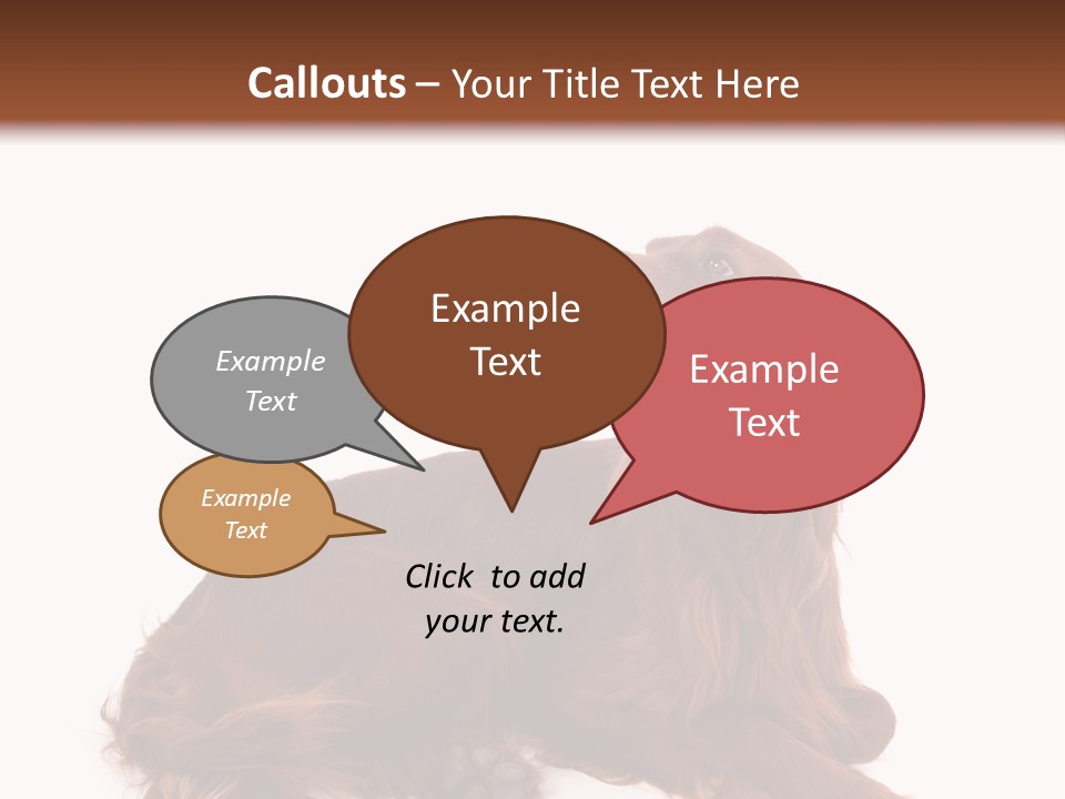 Setter Dog Isolated PowerPoint Template