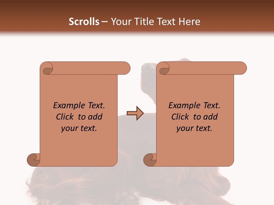 Setter Dog Isolated PowerPoint Template