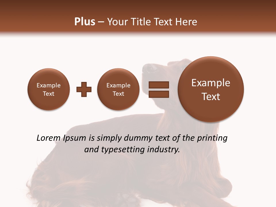 Setter Dog Isolated PowerPoint Template