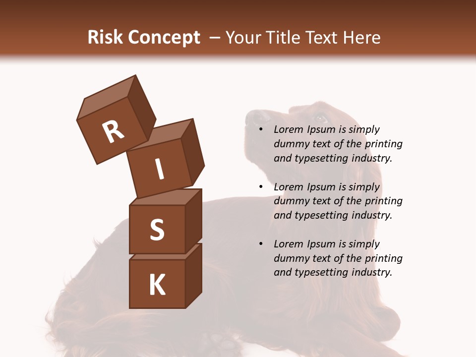 Setter Dog Isolated PowerPoint Template