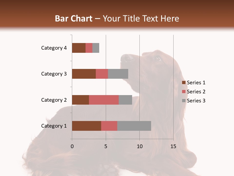 Setter Dog Isolated PowerPoint Template