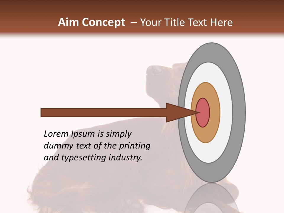 Setter Dog Isolated PowerPoint Template