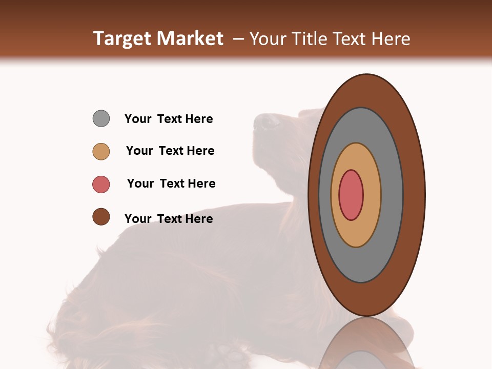 Setter Dog Isolated PowerPoint Template