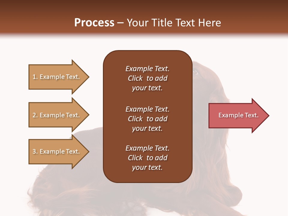 Setter Dog Isolated PowerPoint Template