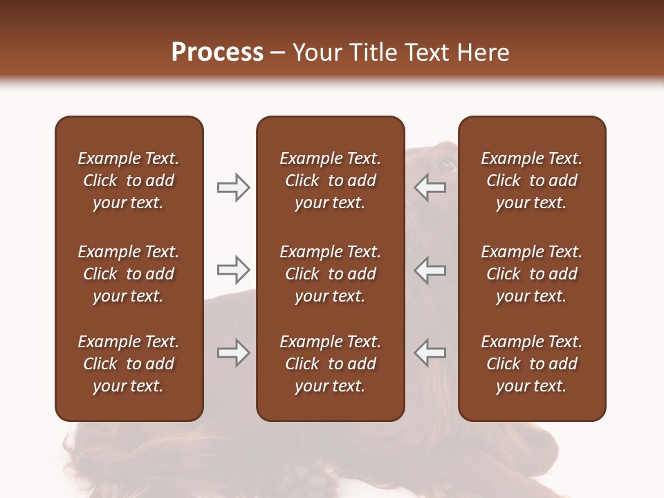 Setter Dog Isolated PowerPoint Template