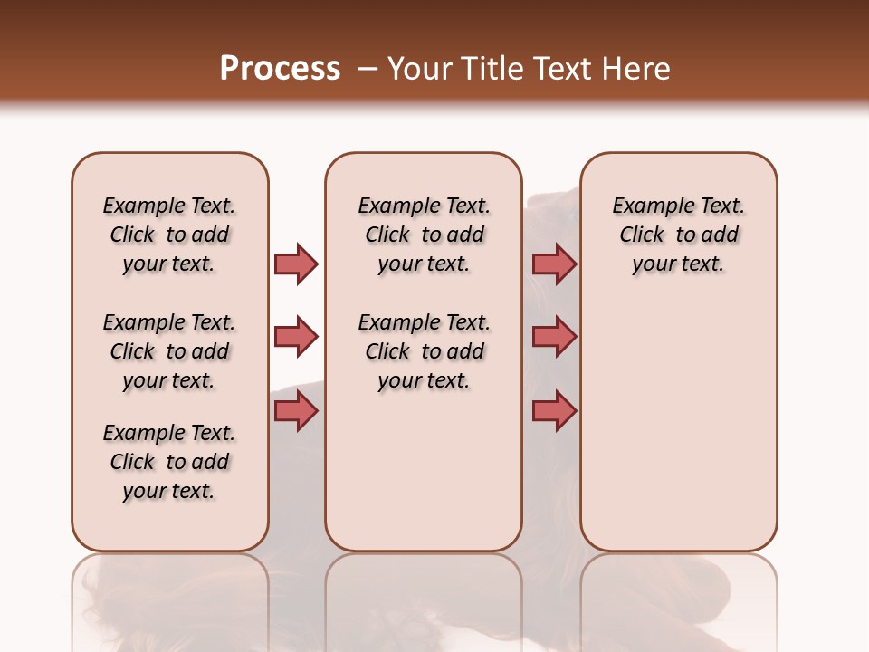 Setter Dog Isolated PowerPoint Template