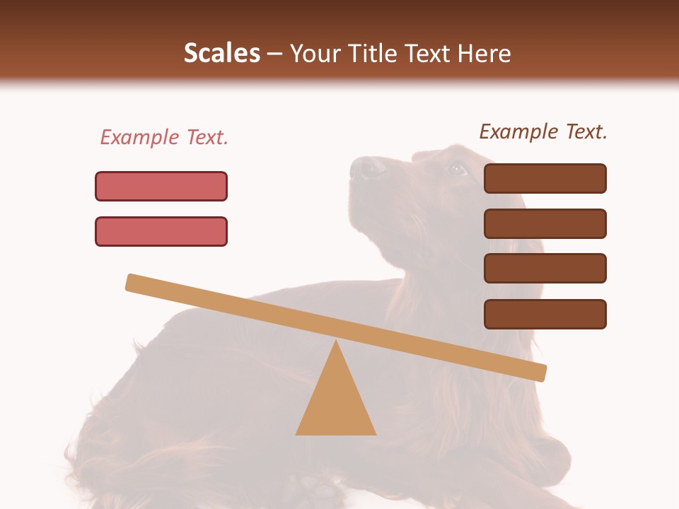 Setter Dog Isolated PowerPoint Template