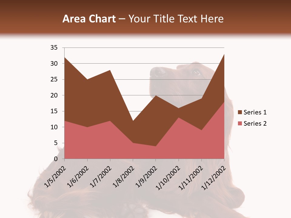 Setter Dog Isolated PowerPoint Template