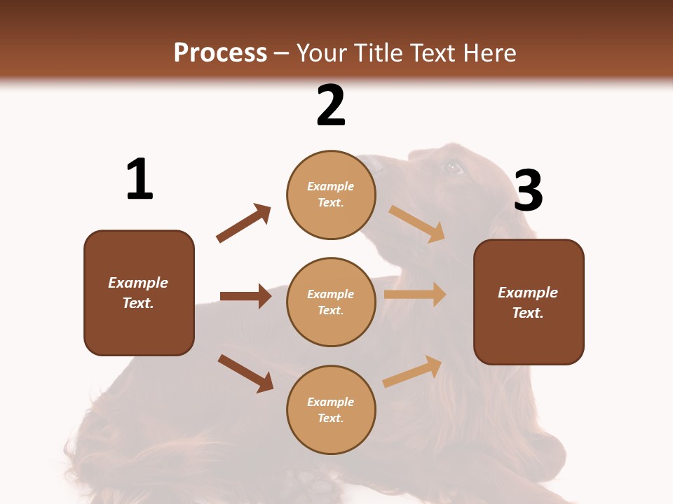 Setter Dog Isolated PowerPoint Template