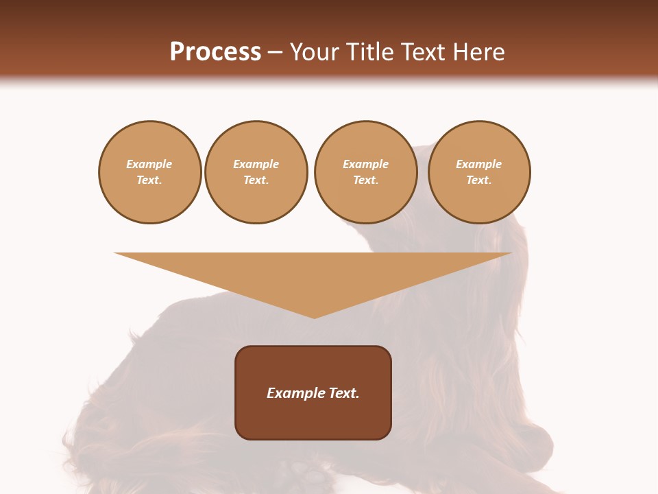 Setter Dog Isolated PowerPoint Template