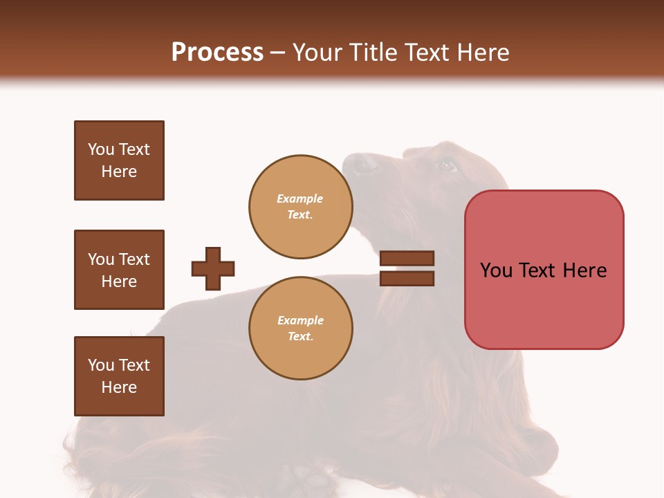 Setter Dog Isolated PowerPoint Template