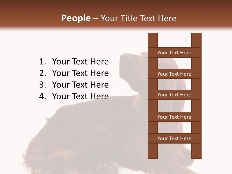 Setter Dog Isolated PowerPoint Template