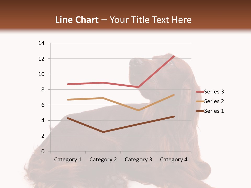 Setter Dog Isolated PowerPoint Template