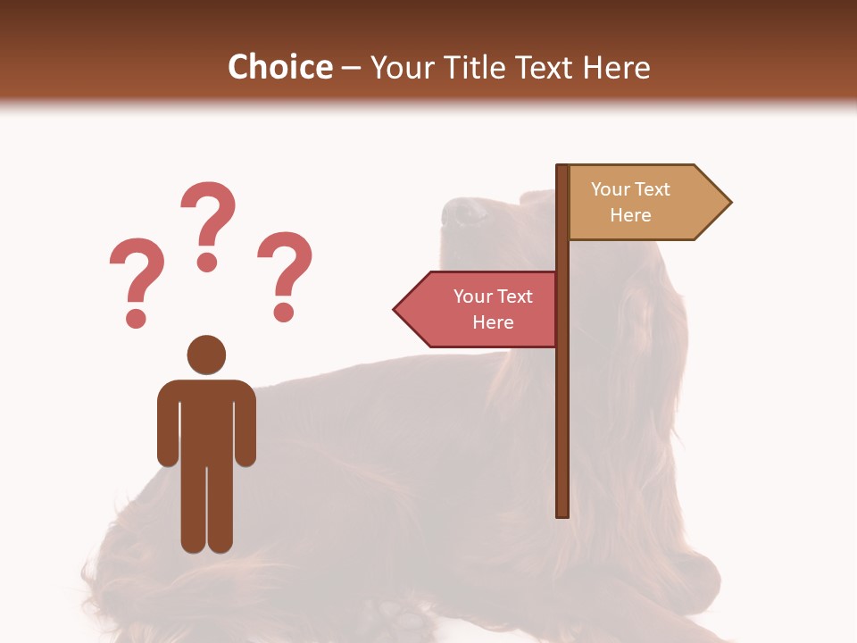 Setter Dog Isolated PowerPoint Template