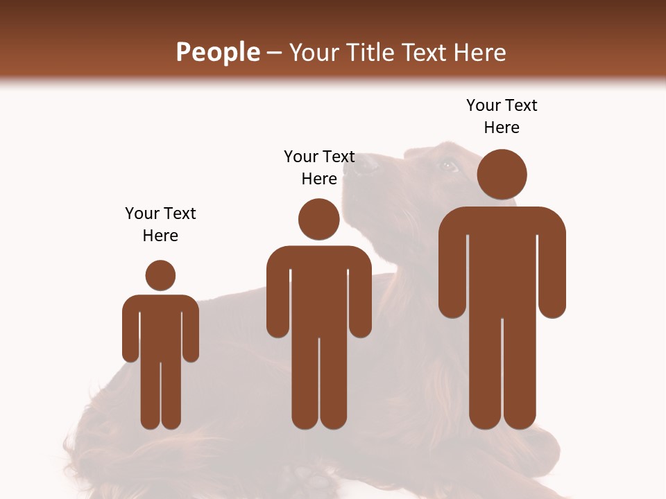 Setter Dog Isolated PowerPoint Template