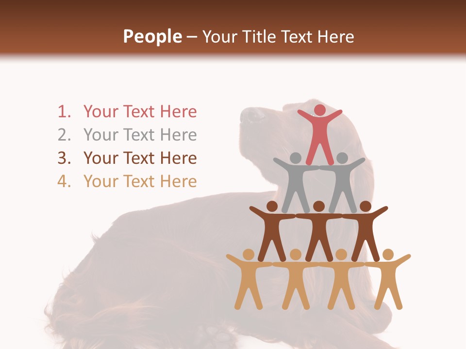 Setter Dog Isolated PowerPoint Template