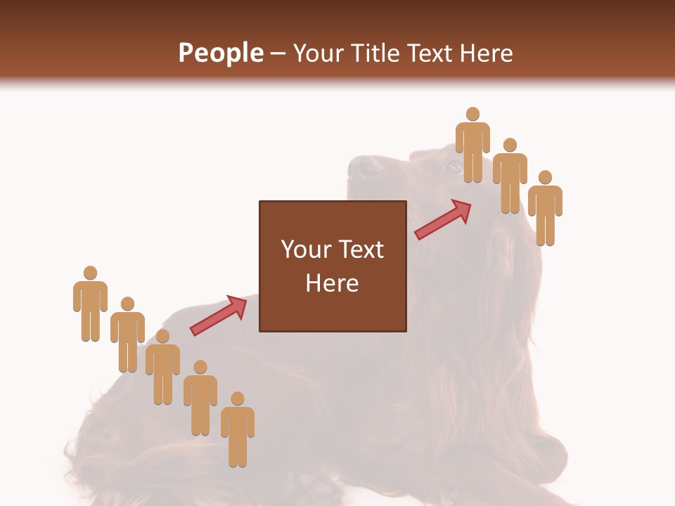 Setter Dog Isolated PowerPoint Template