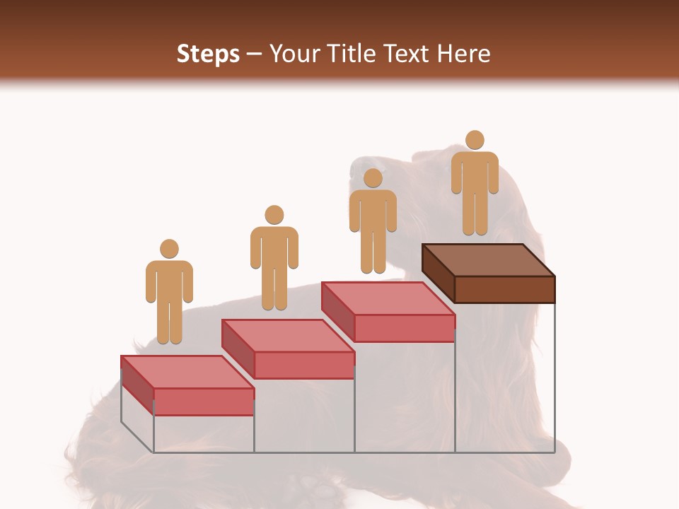 Setter Dog Isolated PowerPoint Template