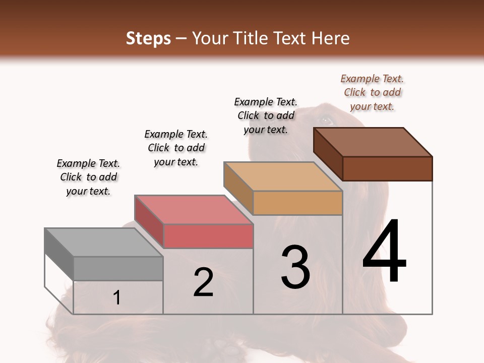 Setter Dog Isolated PowerPoint Template