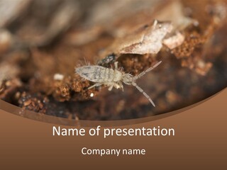 Close Bug Macro PowerPoint Template