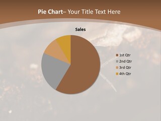 Close Bug Macro PowerPoint Template