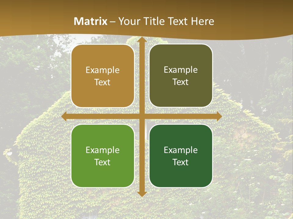 Senior  Finger White Background PowerPoint Template