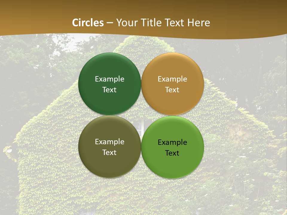 Senior  Finger White Background PowerPoint Template