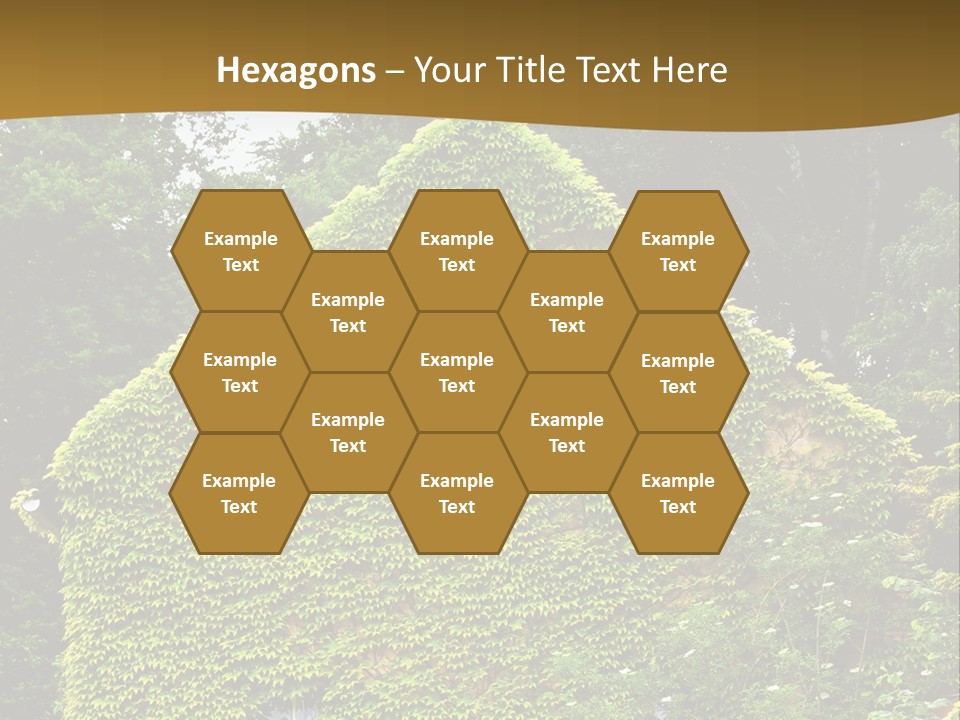 Senior  Finger White Background PowerPoint Template