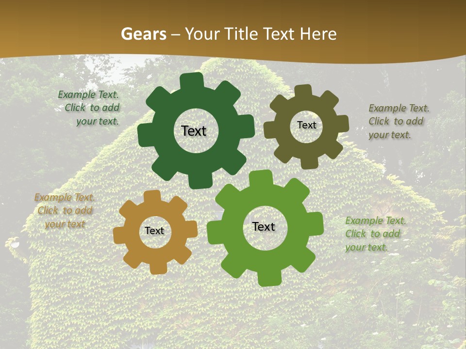 Senior  Finger White Background PowerPoint Template