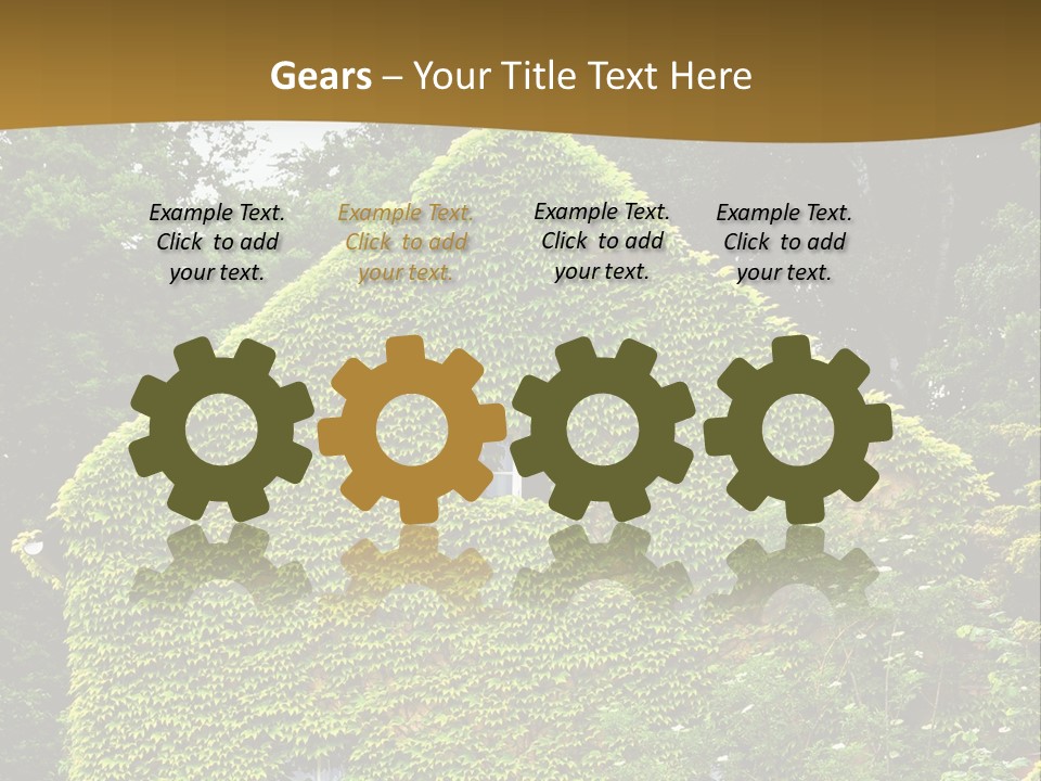 Senior  Finger White Background PowerPoint Template