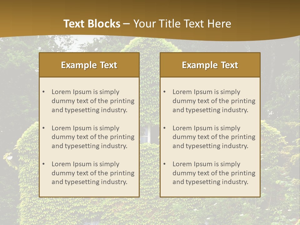 Senior  Finger White Background PowerPoint Template