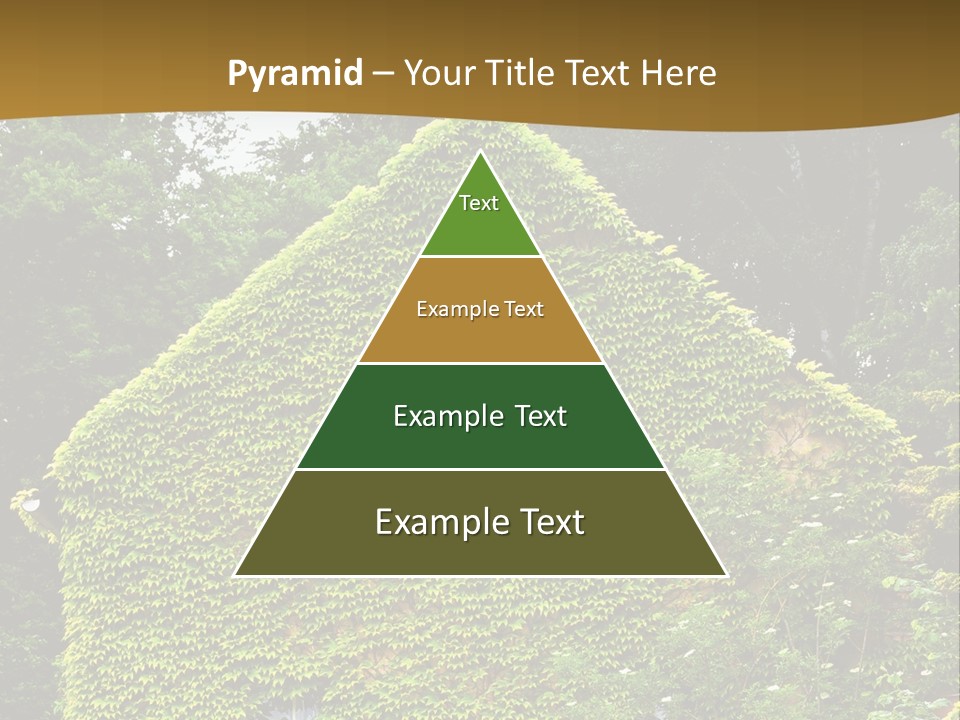 Senior  Finger White Background PowerPoint Template