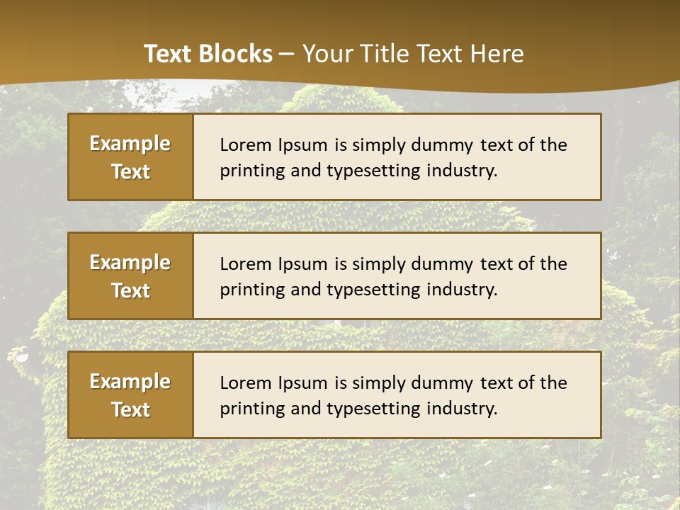 Senior  Finger White Background PowerPoint Template