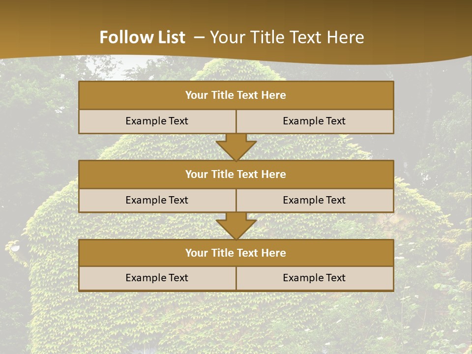 Senior  Finger White Background PowerPoint Template