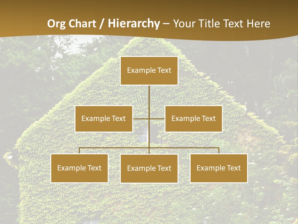 Senior  Finger White Background PowerPoint Template