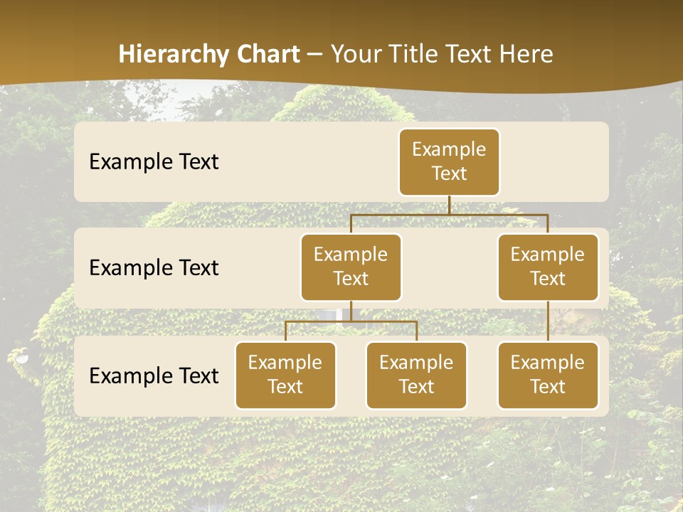 Senior  Finger White Background PowerPoint Template