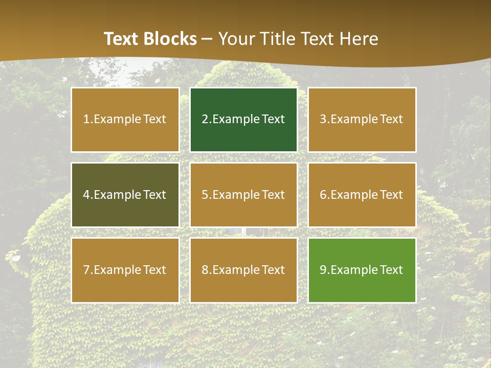 Senior  Finger White Background PowerPoint Template