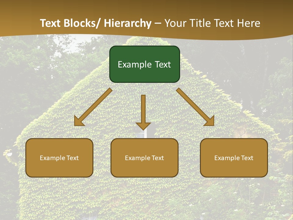 Senior  Finger White Background PowerPoint Template