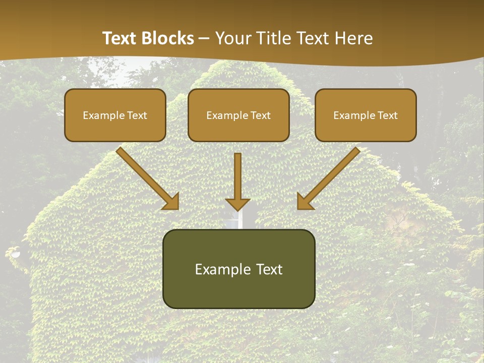 Senior  Finger White Background PowerPoint Template