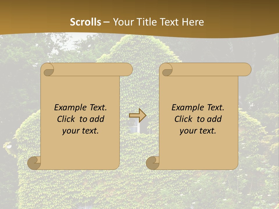 Senior  Finger White Background PowerPoint Template