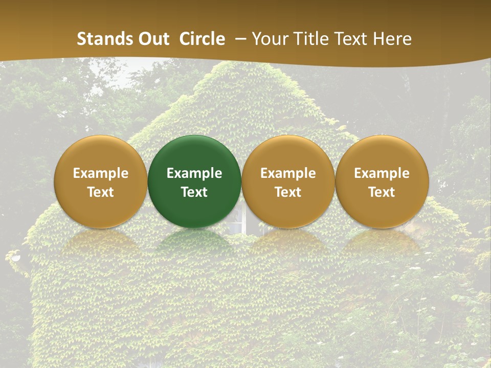 Senior  Finger White Background PowerPoint Template