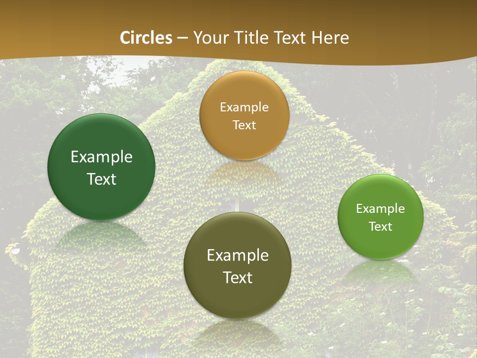 Senior  Finger White Background PowerPoint Template