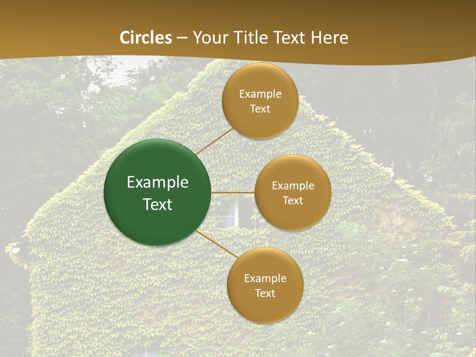 Senior  Finger White Background PowerPoint Template